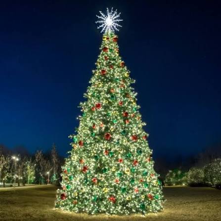 Large outdoor Christmas tree professionally covered in warm white lights with red and green ornaments